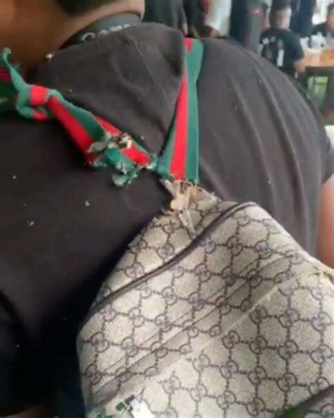 gucci bag hanging by a thread